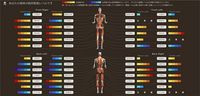 筋肉緊張の分布と改善プログラムを提案するコンテンツ
